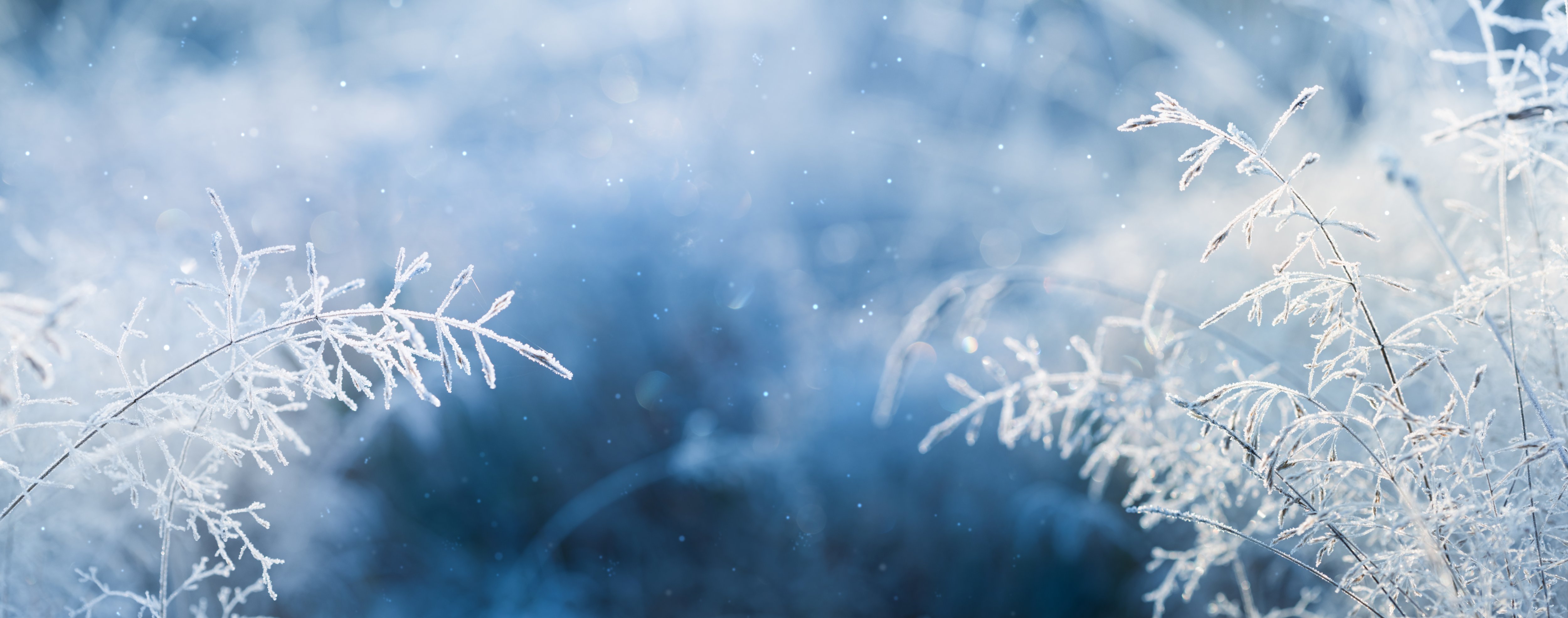 Waarom staat de winter vaak gelijk aan ziekte?